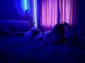 KatiMeow - Live porn &amp; sex cam - 17665334